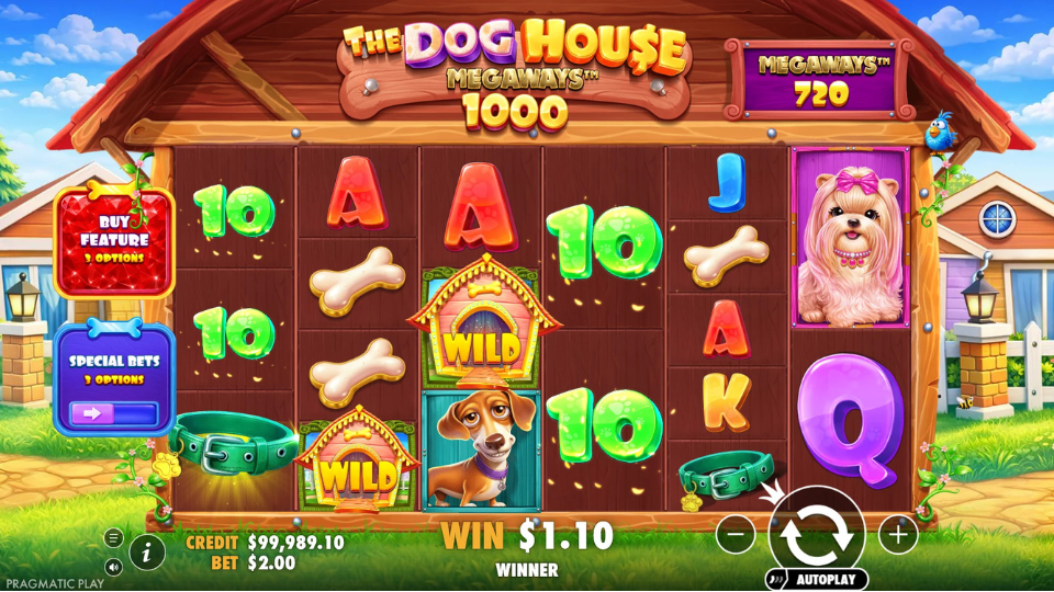 The Dog House 1000 2