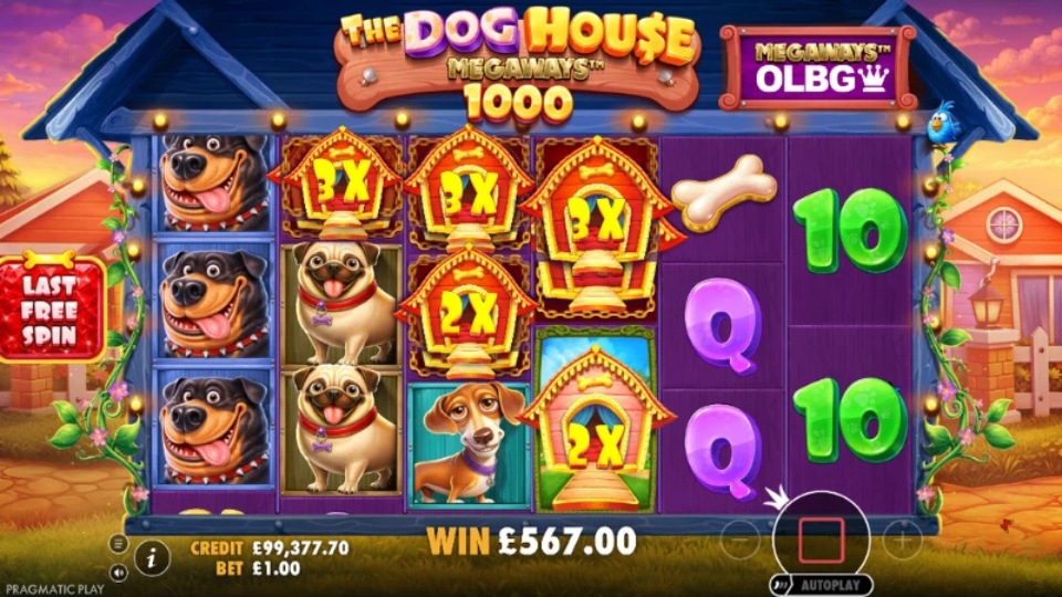 The Dog House 1000 4